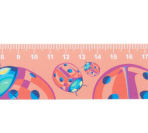 30 cm ruler, house