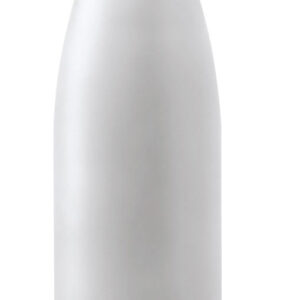 stainless steel bottle