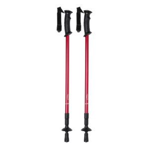 nordic walking sticks