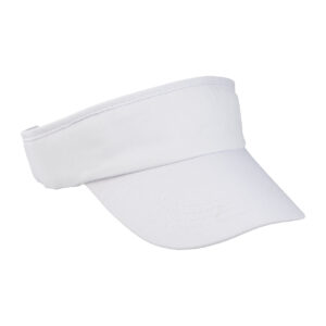 sun visor