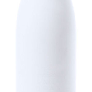 stainless steel bottle