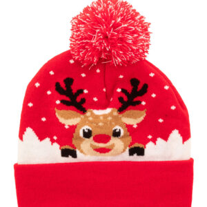 Christmas winter hat